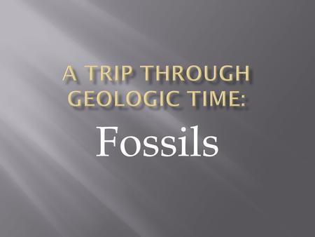 A Trip through Geologic Time:
