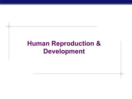 AP Biology 2005-2006 Human Reproduction & Development.