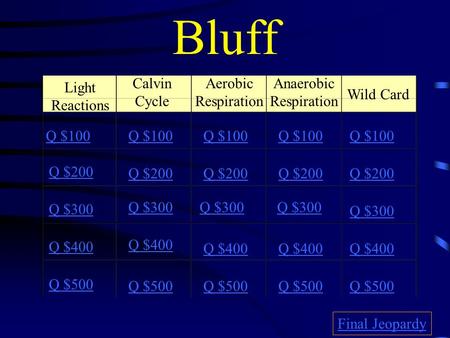 Bluff Light Reactions Calvin Cycle Aerobic Respiration Anaerobic Respiration Wild Card Q $100 Q $200 Q $300 Q $400 Q $500 Q $100 Q $200 Q $300 Q $400.