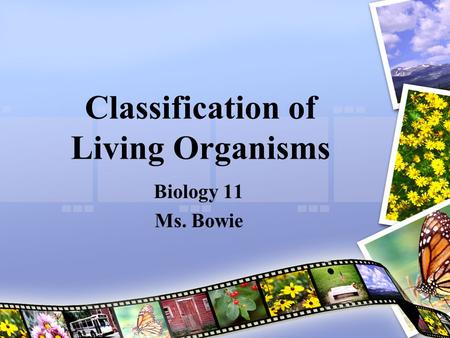 Classification of Living Organisms Biology 11 Ms. Bowie.