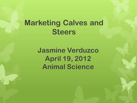 Jasmine Verduzco April 19, 2012 Animal Science Marketing Calves and Steers.