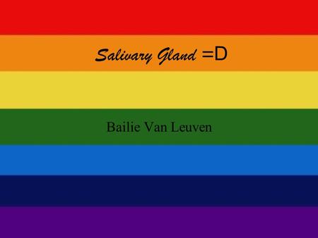 Salivary Gland = D Bailie Van Leuven. Focus! What are the different types of salivary glands? What does saliva do?