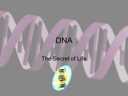 DNA The Secret of Life. Deoxyribonucleic Acid DNA is the molecule responsible for controlling the activities of the cell It is the hereditary molecule.