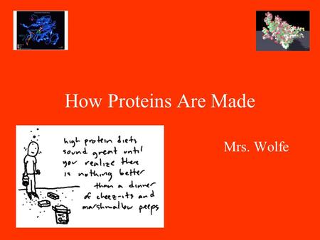 How Proteins Are Made Mrs. Wolfe. DNA: instructions for making proteins Proteins are built by the cell according to your DNA What kinds of proteins are.