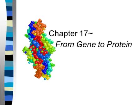 Chapter 17~ From Gene to Protein.