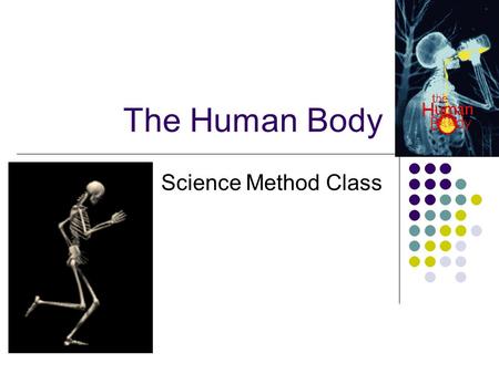 The Human Body Science Method Class.