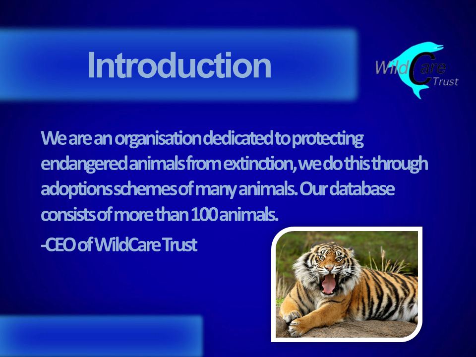 Introduction We are an organisation dedicated to protecting endangered  animals from extinction, we do this through adoptions schemes of many  animals. Our. - ppt download