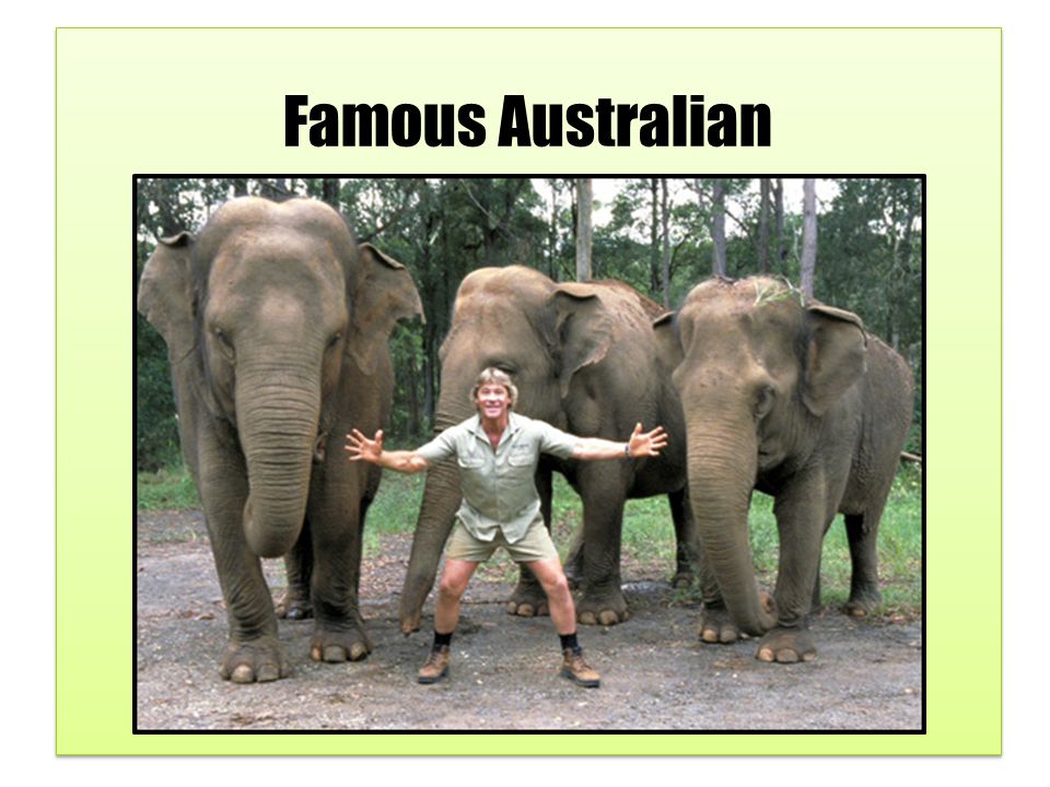digtere Intakt Gensidig Famous Australian. Steve Irwin was famous for his television series, The  Crocodile Hunter. Steve was a wildlife expert and a television show host  who. - ppt download