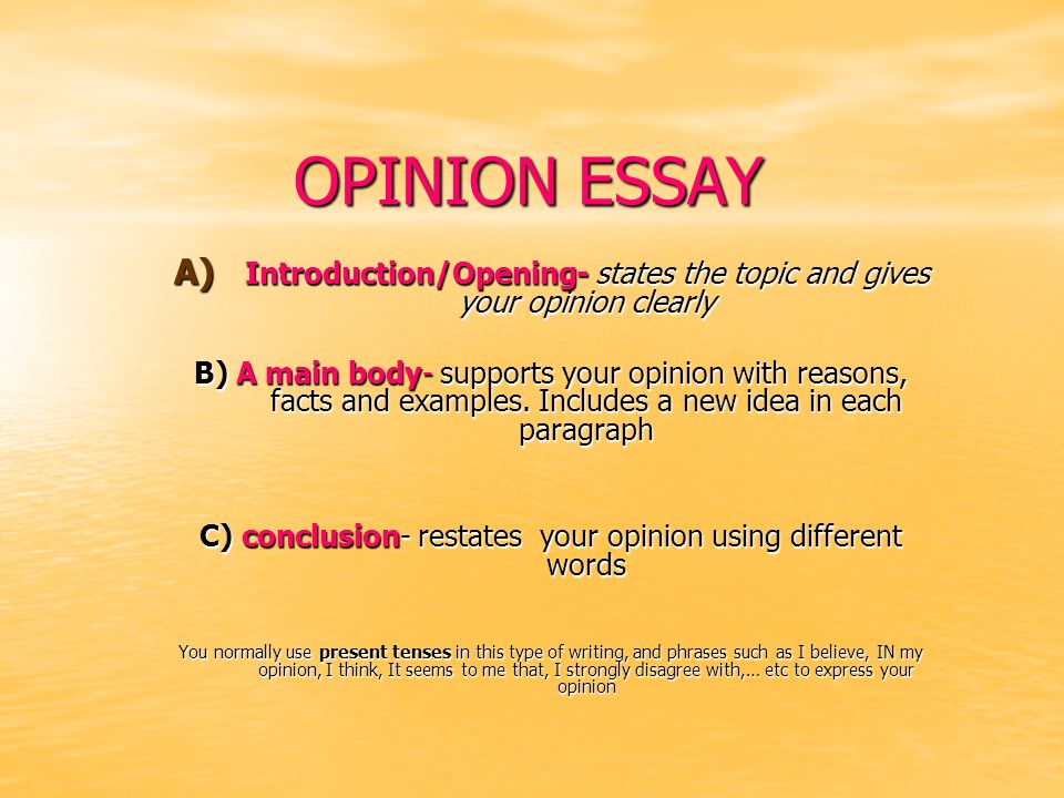 essay introduction phrases