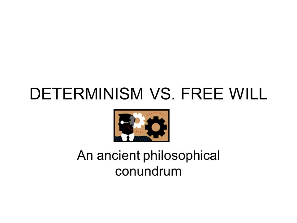 Determinism Philosophy GIFs