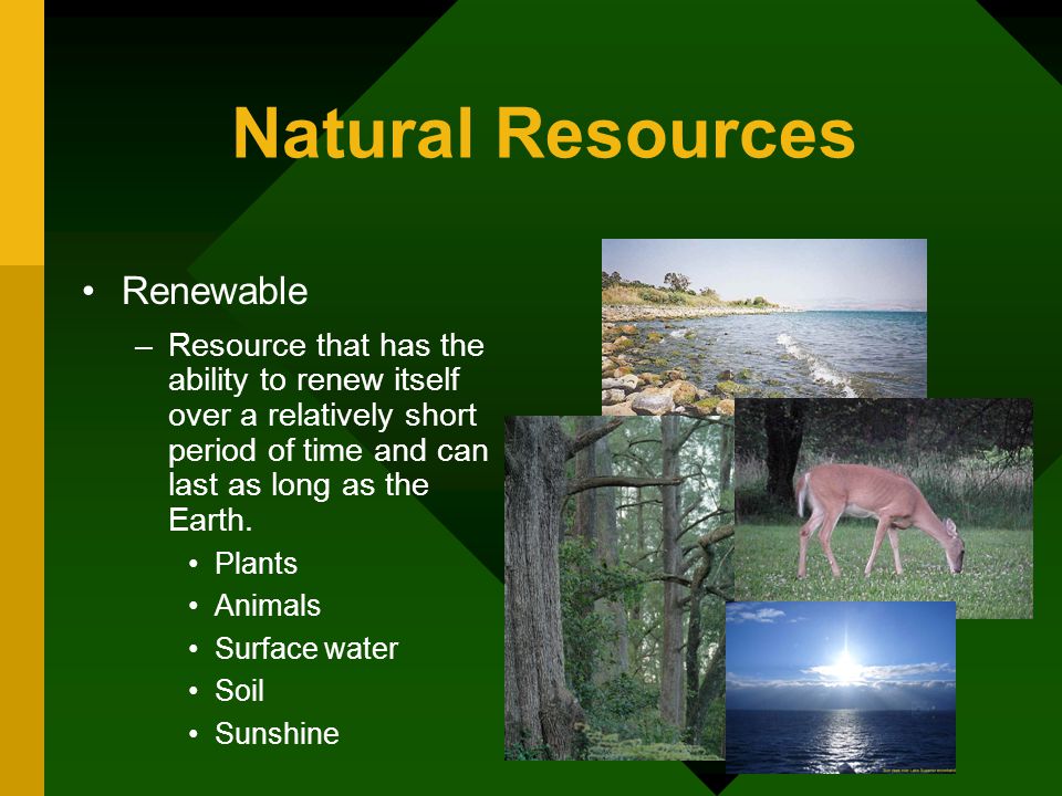 Natural Resources Renewable - ppt download
