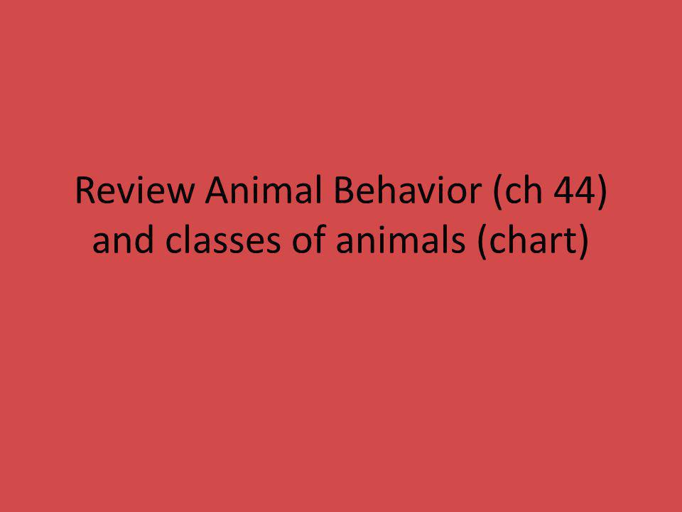 Review Animal Behavior (ch 44) and classes of animals (chart) - ppt download
