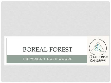 THE WORLD’S NORTHWOODS BOREAL FOREST. LOCATION FEATURES Characterized by coniferous forests consisting mostly of pines, spruces, and larches Large biodiversity.