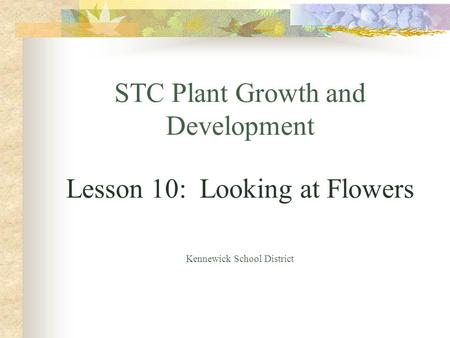 STC Plant Growth and Development Lesson 10: Looking at Flowers Kennewick School District.