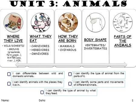 UNIT 3: ANIMALS WHERE THEY LIVE WILD/DOMESTIC GROUND (grasslands, farm,jungle…), WATER (sea, river…), AIR. WHAT THEY EAT CARNIVORES HERBIVORES OMNIVORES.