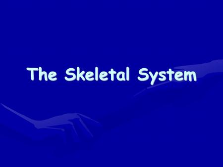The Skeletal System. What organs comprise the skeletal system?