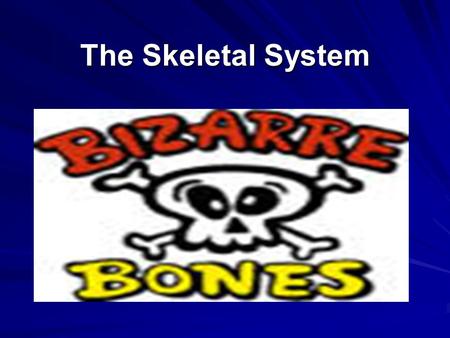 The Skeletal System. Formation of Bone When you are developing as a baby, your bone starts as cartilage. As development continues, blood vessels stimulate.