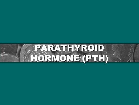 PARATHYROID HORMONE (PTH). SOURCE SYNTHESIS 1. Preprohormone=110 A.A. 2. Prohormone= 90 A.A. 3. Hormone= 84 A.A.( Mol.wt.=9500)