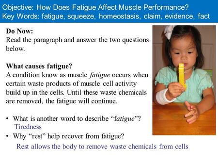 Objective: How Does Fatigue Affect Muscle Performance