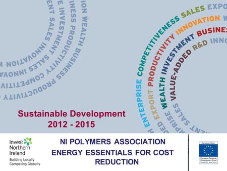 NI POLYMERS ASSOCIATION ENERGY ESSENTIALS FOR COST REDUCTION Sustainable Development 2012 - 2015.
