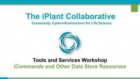 The iPlant Collaborative Community Cyberinfrastructure for Life Science Tools and Services Workshop iCommands and Other Data Store Resources.