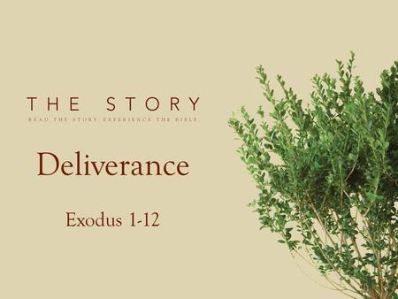 Deliverance Exodus 1-12. Joseph and his generation died Israelites in Egypt as slaves for 400 years Much oppression.