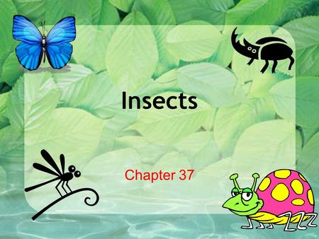 Insects Chapter 37.