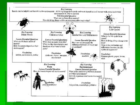 Insects Organisms and Environment Key Learning: Insects can be helpful and harmful to the environment. All living things have needs and must depend on.