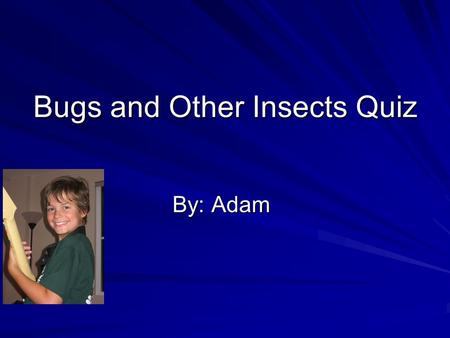 Bugs and Other Insects Quiz By: Adam. Question 1 Name the 3 body parts of an insect. A head A thorax An abdomen Challenge Question What else do you know.