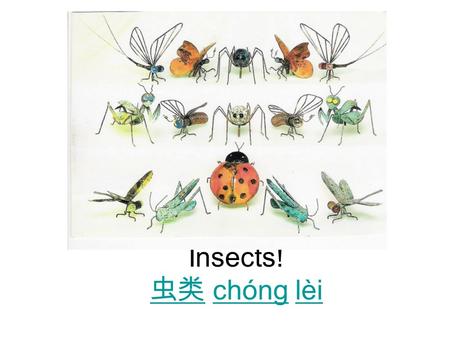 Insects! 虫类 chóng lèi 虫类chónglèi. What is an insect? A different word for “insect” is …