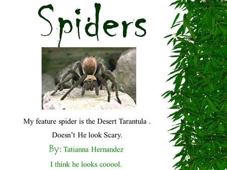 By: Tatianna Hernandez I think he looks cooool. Spiders My feature spider is the Desert Tarantula. Doesn’t He look Scary.