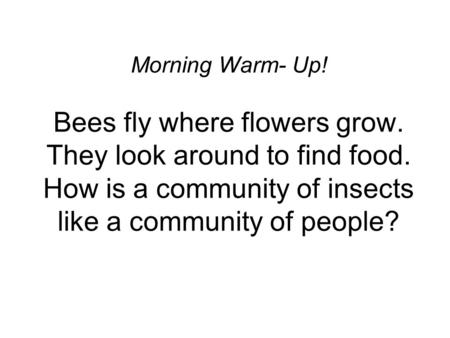 Morning Warm- Up! Bees fly where flowers grow. They look around to find food. How is a community of insects like a community of people?