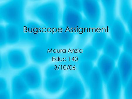 Bugscope Assignment Maura Anzia Educ 140 3/10/06 Maura Anzia Educ 140 3/10/06.
