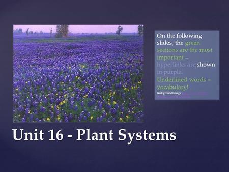 Unit 16 - Plant Systems On the following slides, the green sections are the most important – hyperlinks are shown in purple. Underlined words = vocabulary!