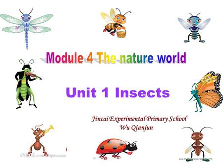 Unit 1 Insects Jincai Experimental Primary School Wu Qianjun.