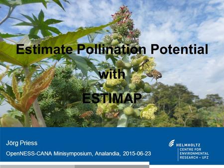 Estimate Pollination Potential with ESTIMAP