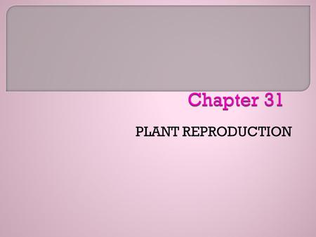 PLANT REPRODUCTION. The following is the question for this chapter. See the Polls and ArtJoinIn for this chapter if your campus uses a Personal Response.