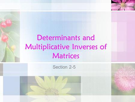 Determinants and Multiplicative Inverses of Matrices