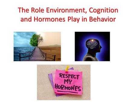 The Role Environment, Cognition and Hormones Play in Behavior.