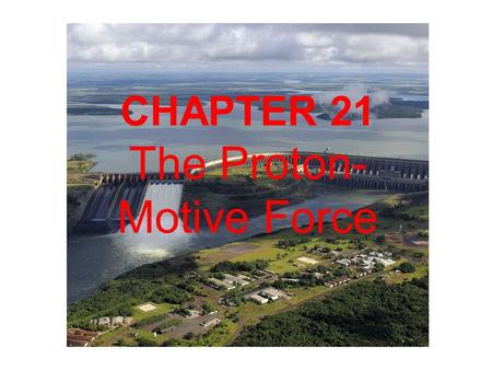 The Proton-Motive Force