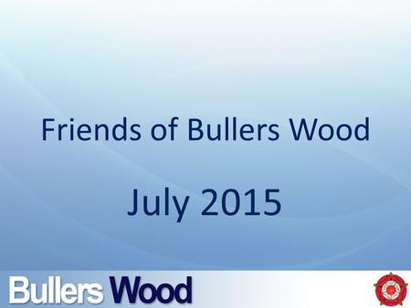 Friends of Bullers Wood July 2015. What is Friends of Bullers Wood? It is your Parent Teacher Association A charity It helps with fundraising Everything.