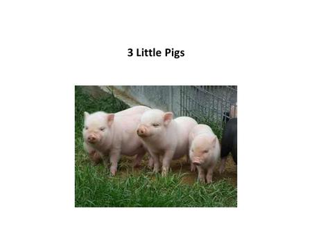 3 Little Pigs. The 3 little pigs were happy. The big bad wolf made them sad.