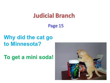 Judicial Branch Page 15 Why did the cat go to Minnesota? To get a mini soda!