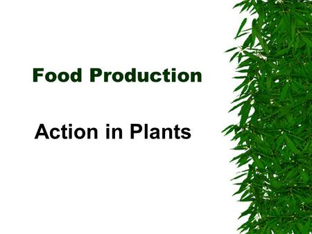 Food Production Action in Plants Plant cells  Plant cells contain a jelly-like cytoplasm  They all have a nucleus  They usually have a sap-filled.