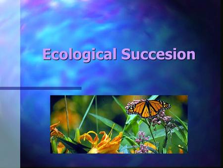 Ecological Succesion. Succession n Do ecosystems ever change? n Were there ALWAYS forests? n SUCCESSION is the name given to a predictable series of changes.