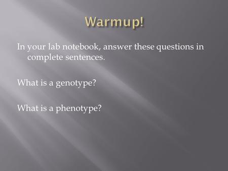 In your lab notebook, answer these questions in complete sentences. What is a genotype? What is a phenotype?