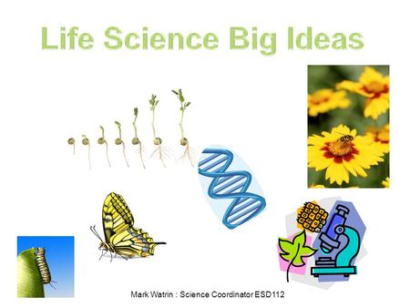 Mark Watrin : Science Coordinator ESD112. What every student should learn about Life Science What does it mean to be and stay alive? What role does each.