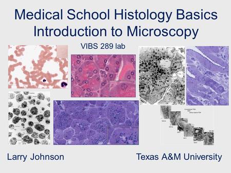 Medical School Histology Basics Introduction to Microscopy Larry Johnson Texas A&M University VIBS 289 lab.
