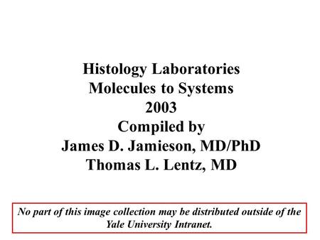 Histology Laboratories James D. Jamieson, MD/PhD