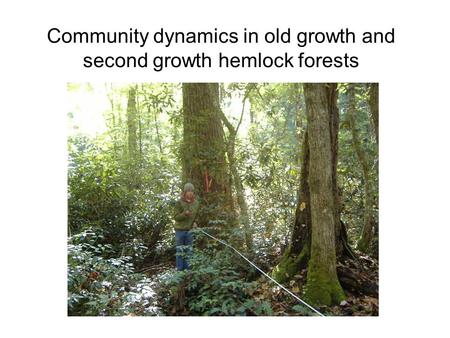 Community dynamics in old growth and second growth hemlock forests.